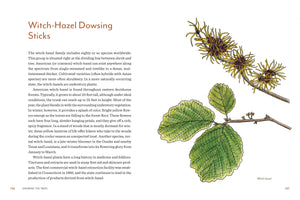 Knowing the Trees Book