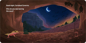 Good Night, National Parks Book