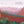 50 States of Love book open to the Arizona page with a painted Grand Canyon