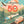 50 Adventures in the 50 States Hardcover Book