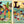 C is for Camping: A Camping Alphabet Book