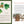 Knowing the Trees Book