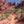 100 Classic Hikes: Utah Book