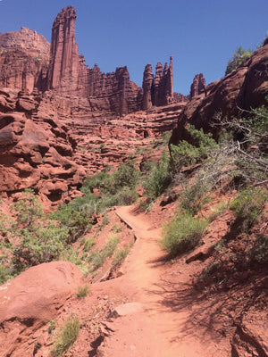 100 Classic Hikes: Utah Book