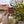 Arches Dirt Scenic Magnet