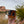 Arches National Park Nord Mug