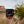 Arches National Park Nord Mug