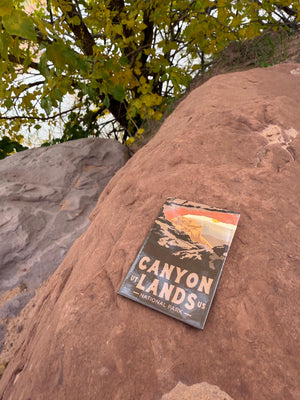 Canyonlands Mesa Arch Magnet