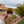Canyonlands Golden Hour Sticker