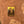 Canyonlands Poster Magnet