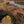 Moab Duck Magnet