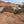 Into the Desert Shot Glass