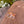 Moab Buttes Magnet