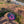 Moab Glitter Magnet