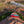 Moab Layered Magnet