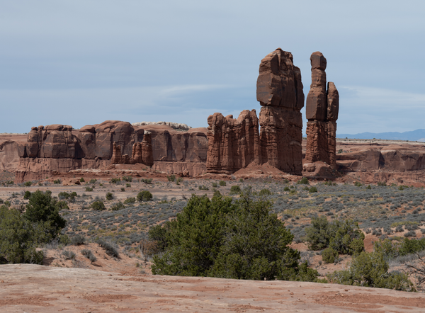 A scenic landscape photograph of red sandstone rock formations in a desert, with shrubs and trees in the foreground under a pale blue sky.