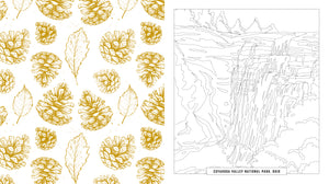 A split design showing a white background with repeating gold line drawings of pinecones and leaves on the left, and a black-and-white outline map of Capanda Valley National Park, Ohio, on the right.