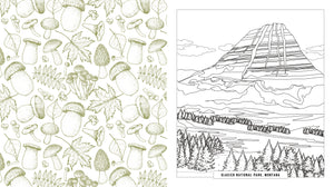 A split design showing a left side with a repeating hand-drawn mushroom and leaf pattern in muted green on white, and a right side with a black-and-white line drawing of Glacier National Park featuring a mountain, trees, and the text 'GLACIER NATIONAL PARK, MONTANA'.