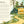 National Parks of the USA Paperback