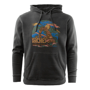 Ray Arches Hoodie