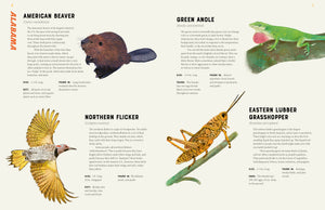 America Is Wild book open to a page with beaver, green anole, northern flicker and grasshopper illustrations