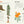 America Is Wild book open to the California page with giant sequoia and poppy illustrations