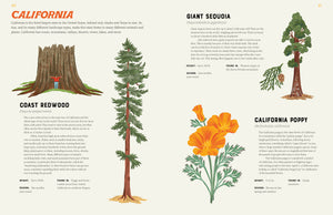 America Is Wild book open to the California page with giant sequoia and poppy illustrations