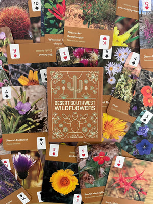 Desert Southwest Wildflowers deck with wildflower photo cards fanned around the box