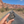 Hand holding the Moab UT wolf enamel pin on a road through the Moab red rock cliffs.