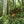 National Geographic Atlas of the National Parks open to a redwood forest photo spread