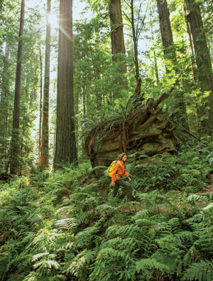 National Geographic Atlas of the National Parks open to a redwood forest photo spread