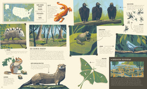 National Parks of the USA book open to the New River Gorge page with vultures, an otter and a salamander