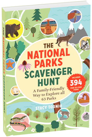 National Parks Scavenger Hunt game box shown at an angle