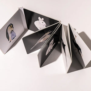 Black and White Contrast Book